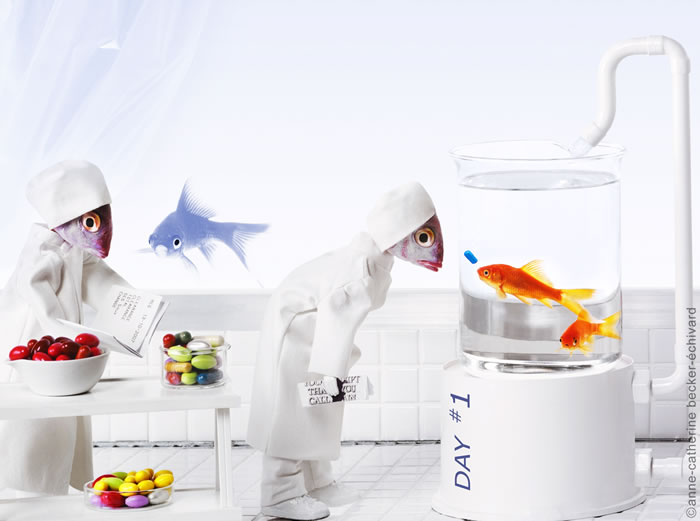 There's Something Fishy About This Photography Site (5)