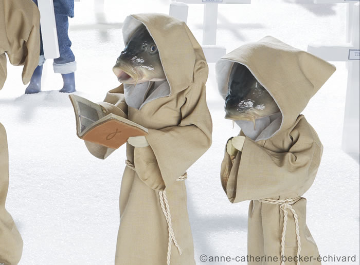 There's Something Fishy About This Photography Site (6)