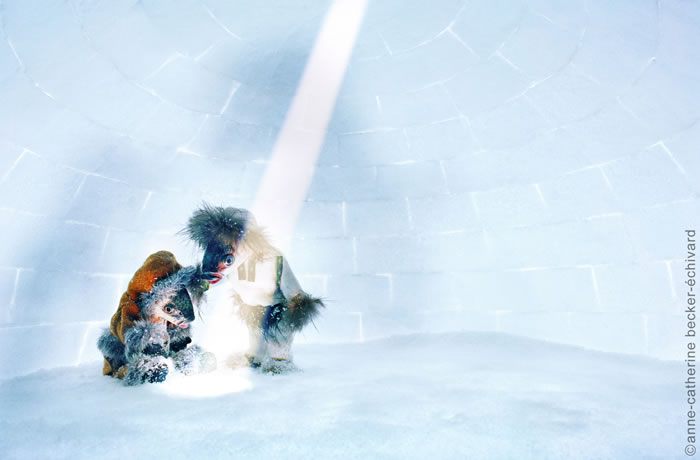 There's Something Fishy About This Photography Site (7)