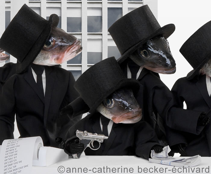 There's Something Fishy About This Photography Site (9)