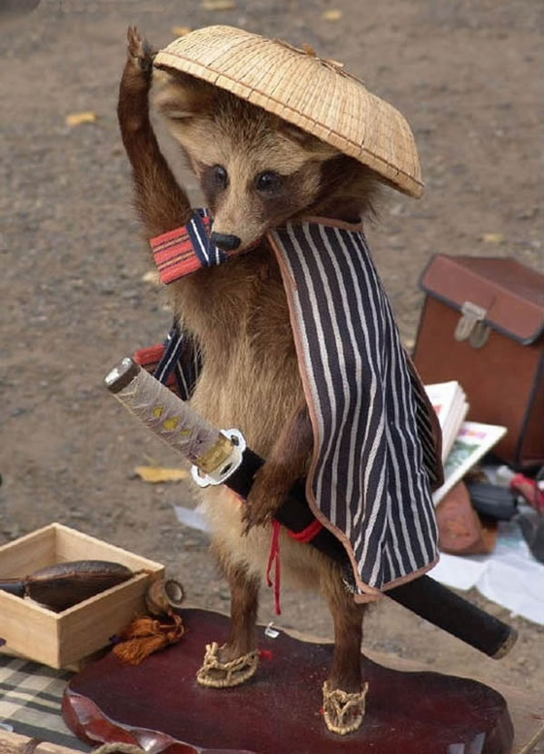 WTF - Online Photo Book Part 3 Another 51Crazy Pics (10)