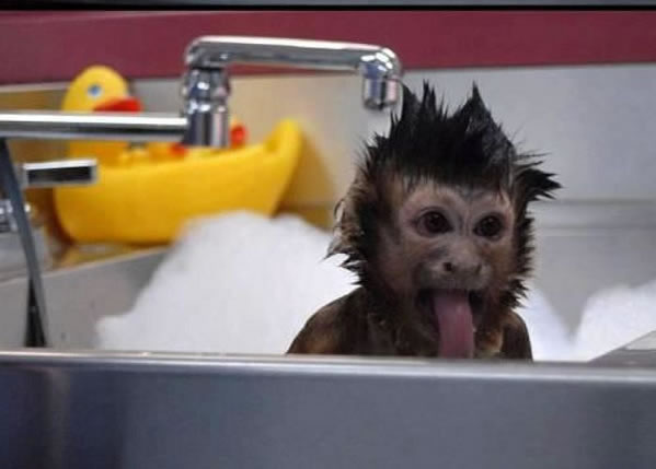 WTF - Online Photo Book Part 3 Another 51Crazy Pics (3)