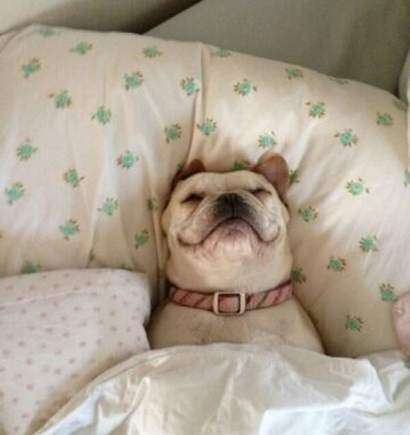 WTF - Part 3 Another 51Crazy Pics (13)