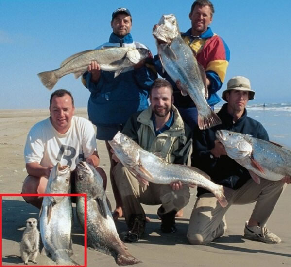 WTF - Part 3 Another 51Crazy Pics (14)