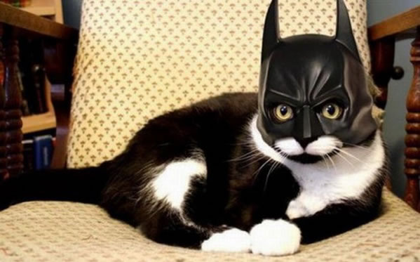 WTF - Part 3 Another 51Crazy Pics (2)