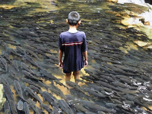 WTF - Part 3 Another 51Crazy Pics (24)