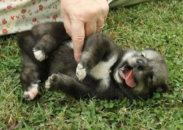 WTF - Part 3 Another 51Crazy Pics (27)