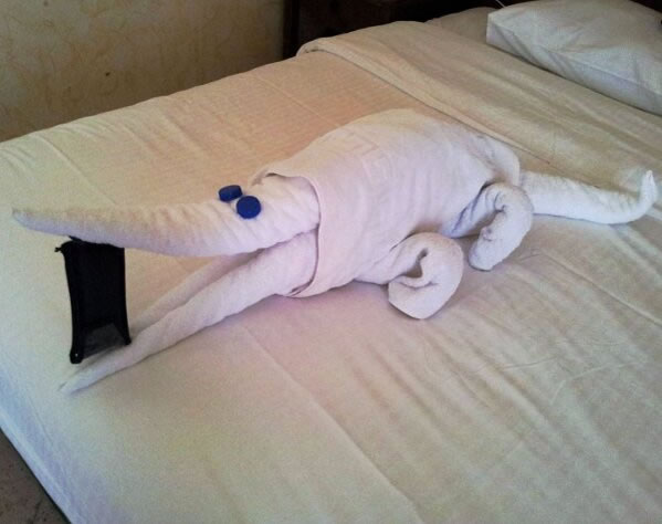 WTF - Part 3 Another 51Crazy Pics (34)