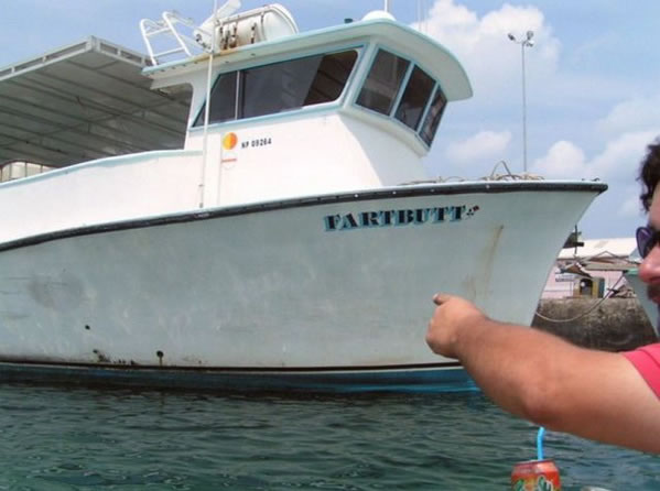 WTF - Part 3 Another 51Crazy Pics (38)