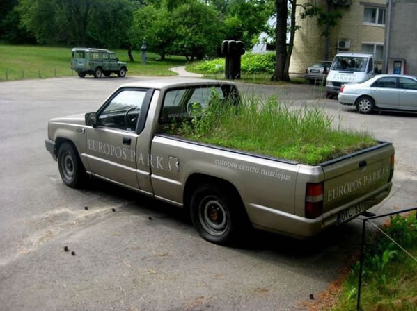 WTF - Part 3 Another 51Crazy Pics (5)