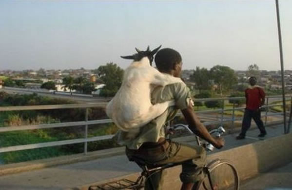 WTF - Part 3 Another 51Crazy Pics (9)