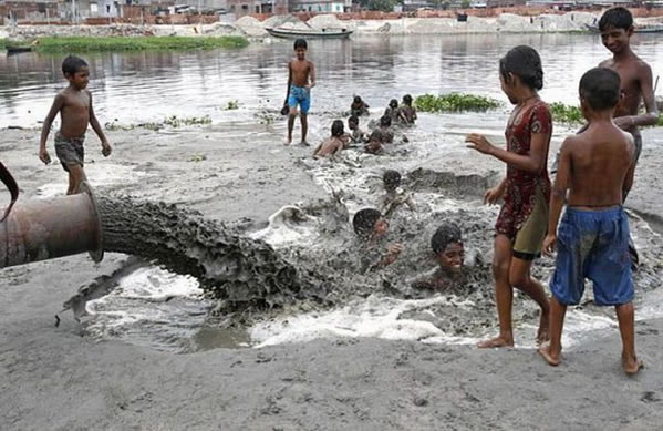 WTF - Part 3 Another 51Crazy Pics