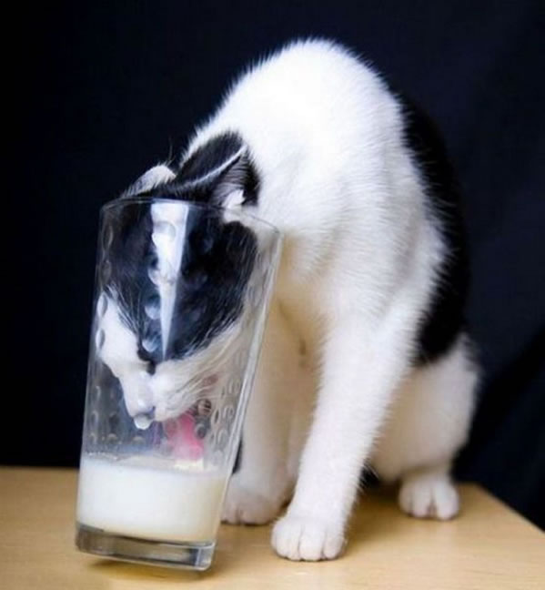 WTF photos Part 2 – Another 51 Crazy Pics (9)