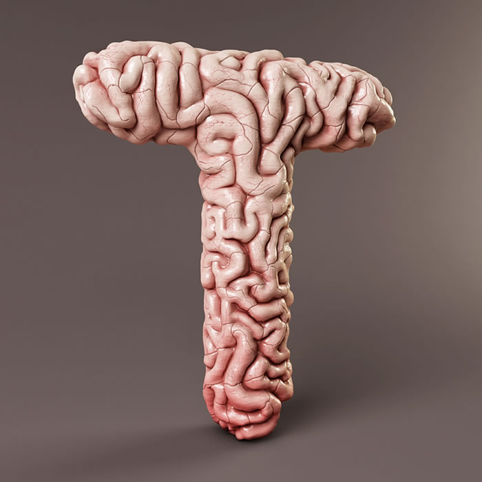 t - Amazing 3D Alphabet Art Sculptures By FOREAL