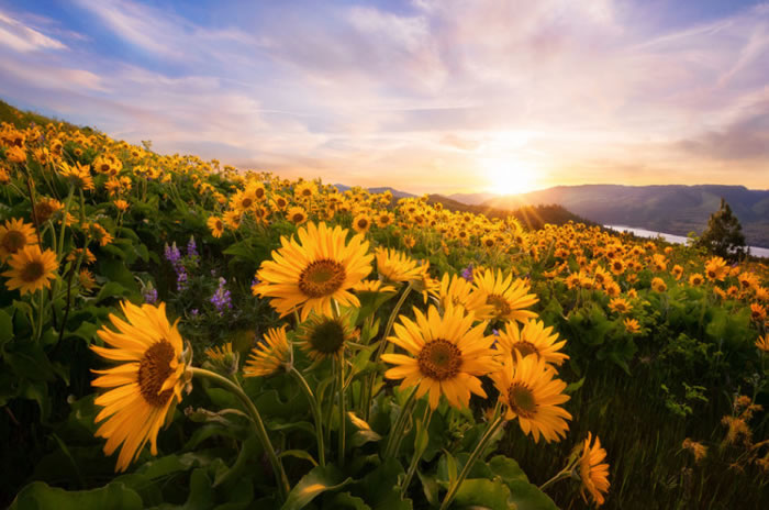 10 Spectacular Places To Visit During Spring Time 2