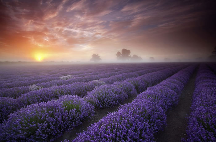 10 Spectacular Places To Visit During Spring Time 7