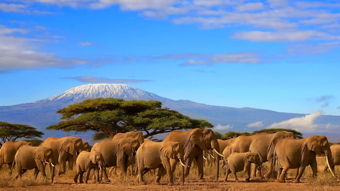 14 Places To Travel Before You Die - Kilimanjaro, Tanzania