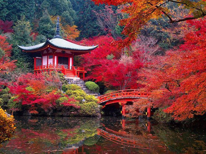 Daigo-ji temple Kyoto, Japan Places To Travel Before You Die -