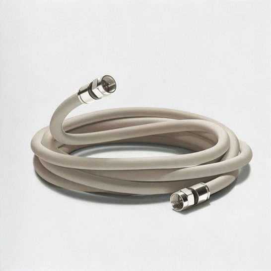 Photorealistic Paintings By William Fisk (3)