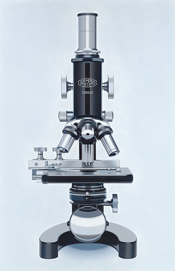 Photorealistic Paintings By William Fisk (6)