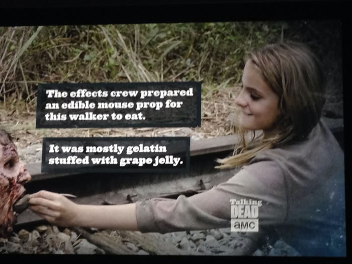 The Walking Dead - 44 Things You Never Knew (3)
