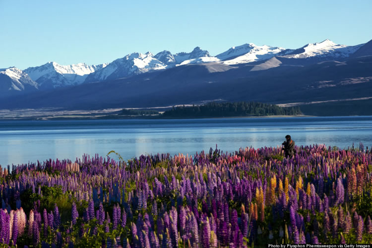 10 Reasons Why You Must Visit New Zealand Before You Die 10