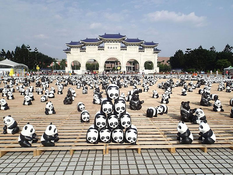 1600 Paper Panda Copies To Represent How Many Are Left In The Wild (10)