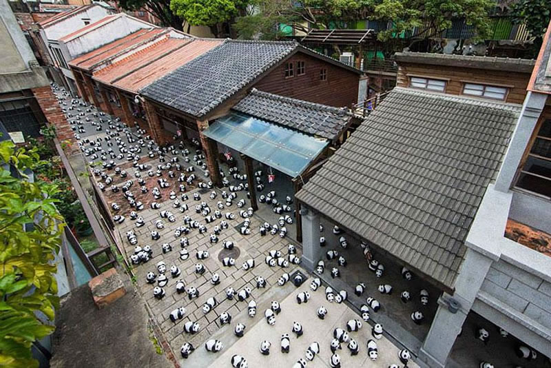 1600 Paper Panda Copies To Represent How Many Are Left In The Wild (11)