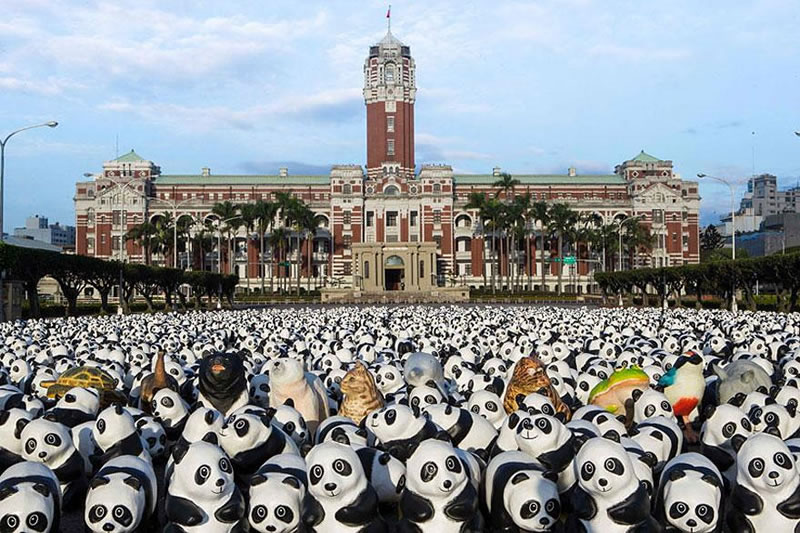 1600 Paper Panda Copies To Represent How Many Are Left In The Wild (3)