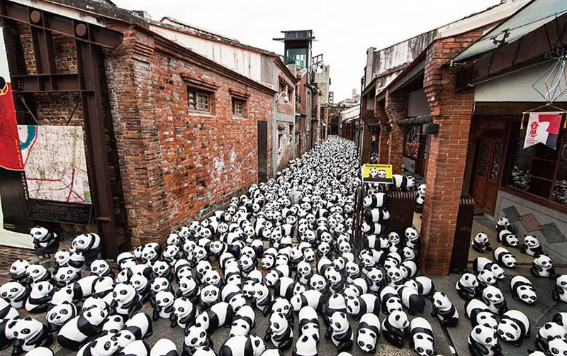 1600 Paper Panda Copies To Represent How Many Are Left In The Wild (4)