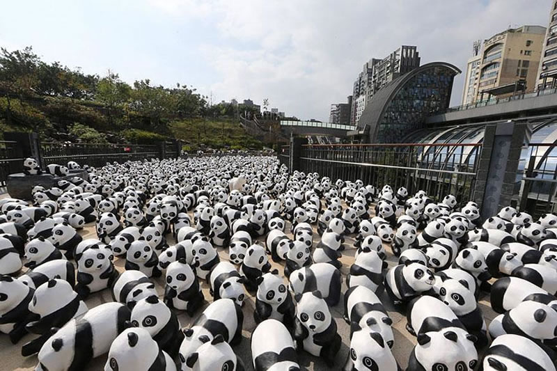 1600 Paper Panda Copies To Represent How Many Are Left In The Wild (5)