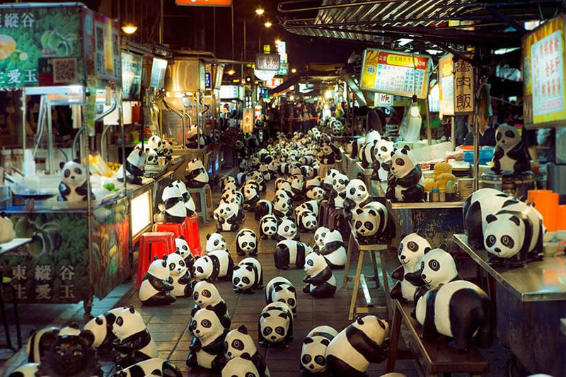 1600 Paper Panda Copies To Represent How Many Are Left In The Wild (6)
