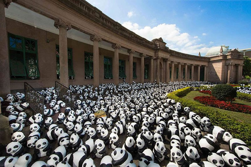 1600 Paper Panda Copies To Represent How Many Are Left In The Wild (7)