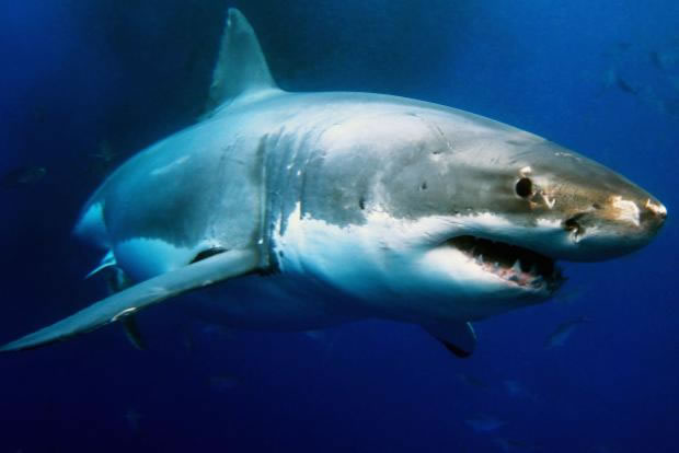 18 Fun Things To Celebrate During The Month Of May 6