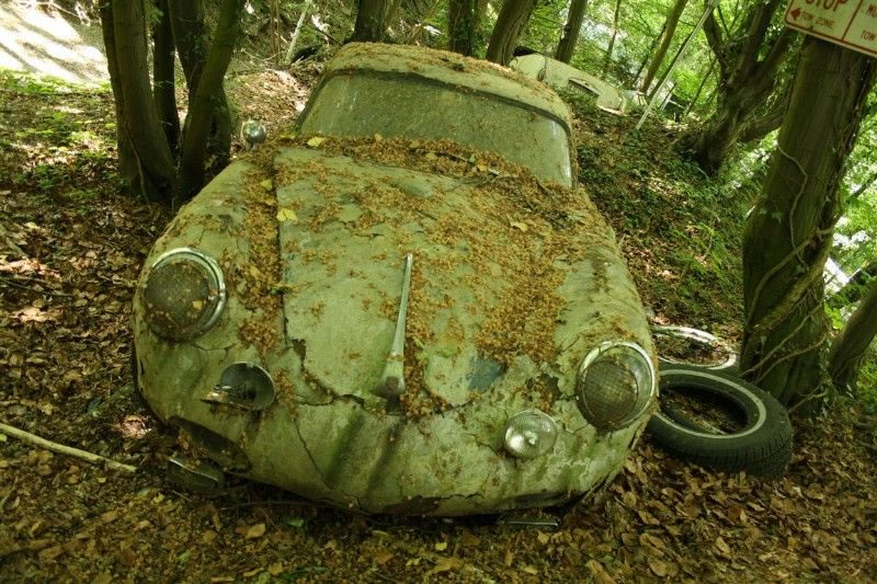 Vintage Supercars (6)