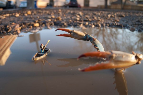 Amazing Miniature World Adventures (1)