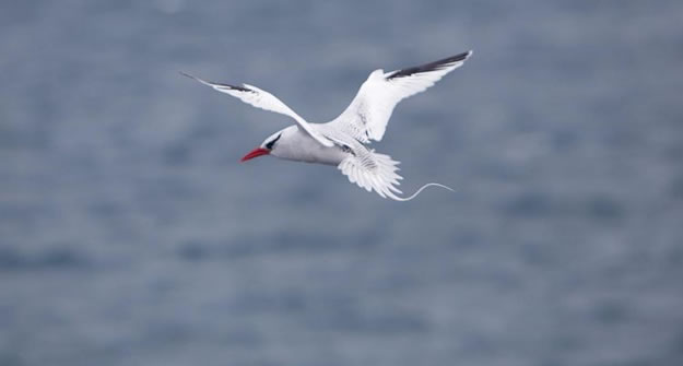 Galapagos islands  28 Images Of National park and Marine Reserve (13)
