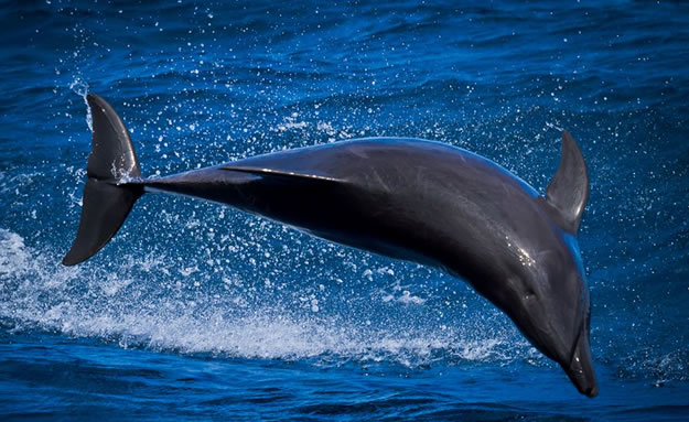 Galapagos islands  28 Images Of National park and Marine Reserve (14)