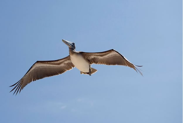 Galapagos islands  28 Images Of National park and Marine Reserve (15)