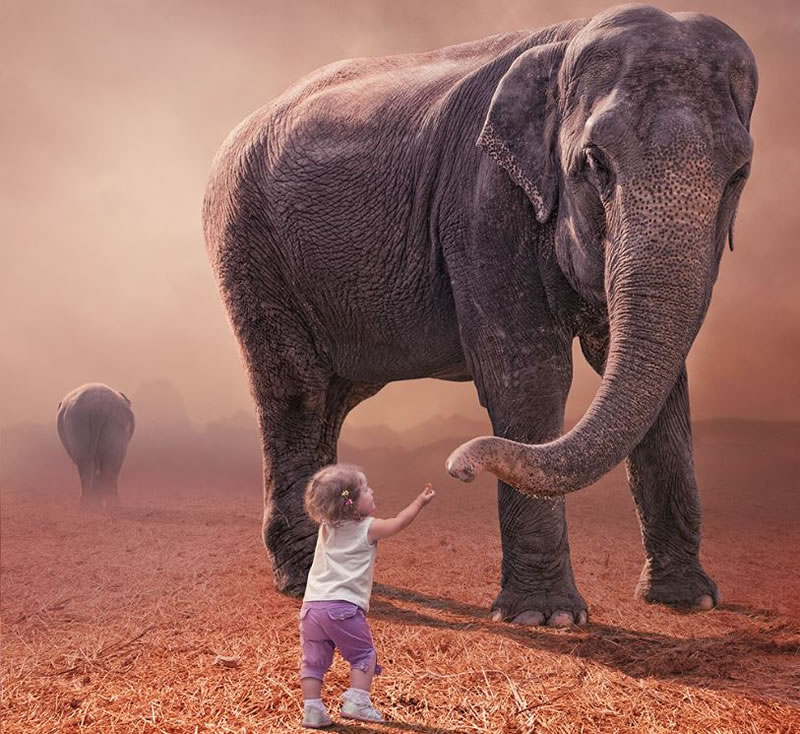 Amazing Surreal Digital Art By Photoshop Expert (10)