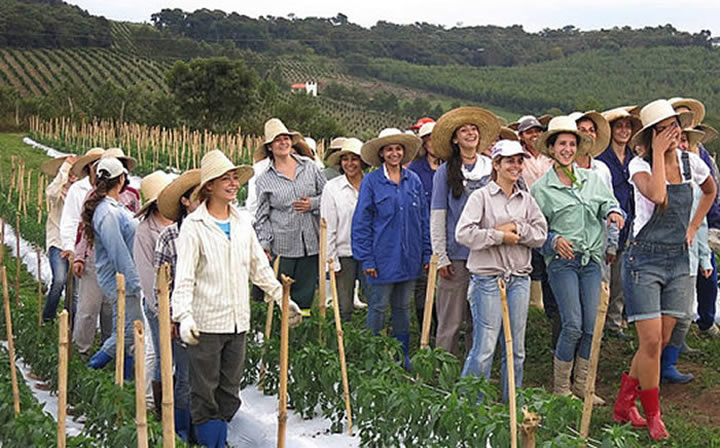 600 Women Seeking Men In Brazil (12)