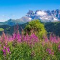 Three underrated mountain ranges in Europe